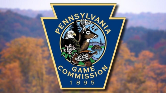 Pennsylvania Game commission hunter safety course online