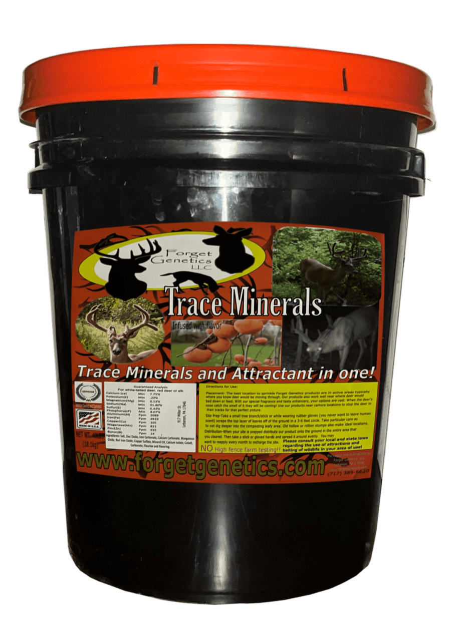 Persimmon Flavor Infused Trace Minerals Bucket  40 LB (18.1kg)